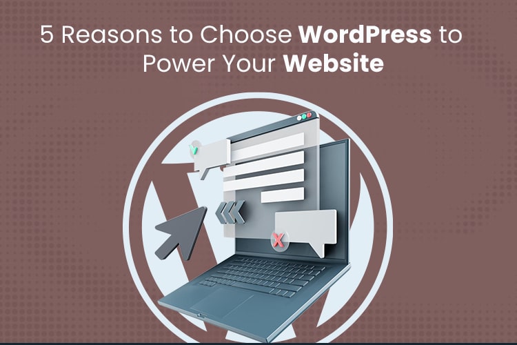 Read more about the article 5 Reasons to Choose WordPress to Power Your Website